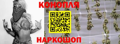 крисы Северобайкальск