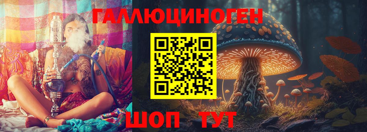 Псилоцибиновые грибы прущие грибы Баксан