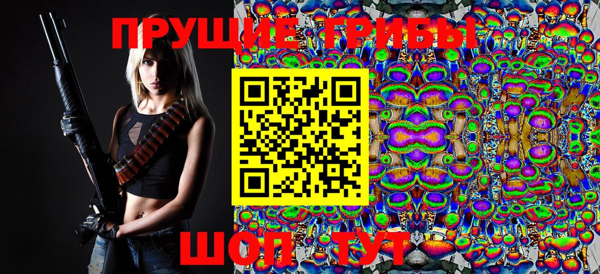 Баксан  Галлюциногенные грибы Cubensis  Вход с VPN 
